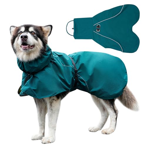 JoyDaog ߉\ȌpC|` n[lX DringAhpCWPbgANAt[ht ^pA˒ʋC̎qCR[gAO[ XS