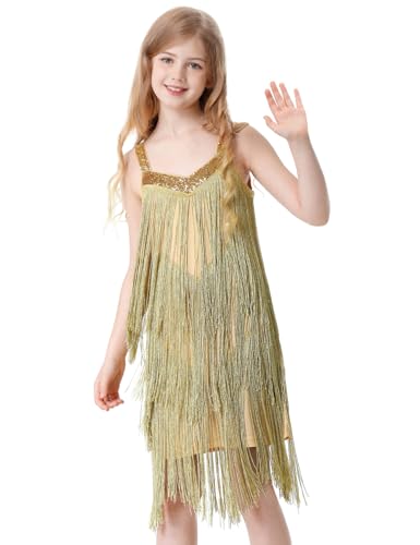 Kids Sequin Fringe Dress Sparkling Tassel Sleeveless Latin Dance Dress Salsa Dancewear Dancer Outfits for Girls