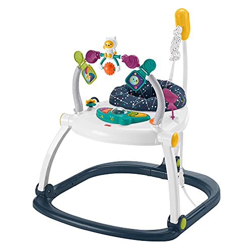 Fisher-Price Baby Bouncer SpaceSaver Jumperoo Activity Center with Lights Sounds and Folding Frame, Sweet Snugapuppy