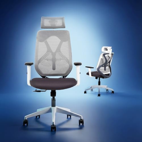 Image of IAFA FURNITURE Ergolux High Back Ergonomic Office & Study Chair | 3 Year Warranty | Adjustable Height, Tilt Lock, 2D Headrest, Adjustable Arms & Lumbar Support | Heavy Duty Nylon Base | DIY | Grey