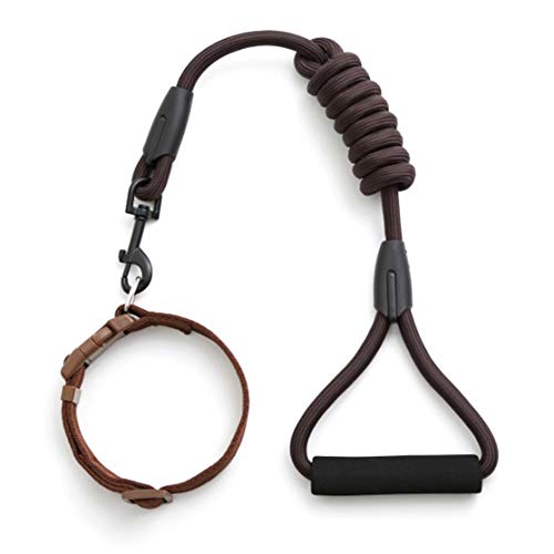 CHANNIKO-ES Perro Ajustable Arnés para Mascotas Correa para el Pecho Cuello de Nylon Suave y Transpirable Correa para Caminar a la Moda con Espuma Mango Acolchado