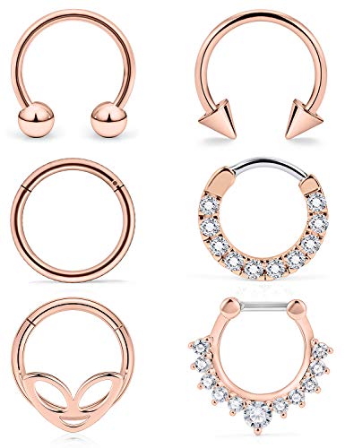Oufksiyy 16G Septum Rings Hoop Nose Ring Horseshoe 316L Stainless Steel Cartilage Earrings Hoop Helix Tragus Segment Piercing Jewerly for Women Body Piercing Jewelry