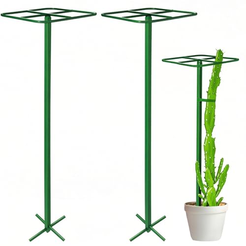 Zealor 2 Pack Adjustable Dragon Fruit Trellis, 12'x12'x50' Dragon Fruit Trellis Metal Climbing Plant Support Frame Cactus Tower Plant Cage for Vertical Gardening Vegetable Garden Outdoor, Green