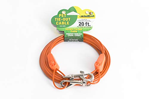 IntelliLeash Products Tie Out Cable for Dogs (35 lb/20')