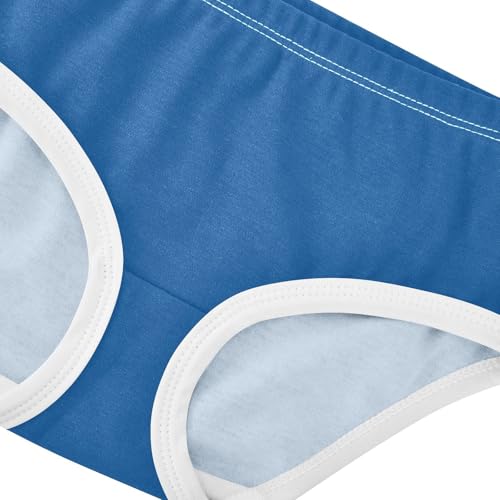 Joisal Cotton Toddler Girls Underwear Mineral Blue Girl Panties Cute Fancy Briefs Kids Undies 2t4