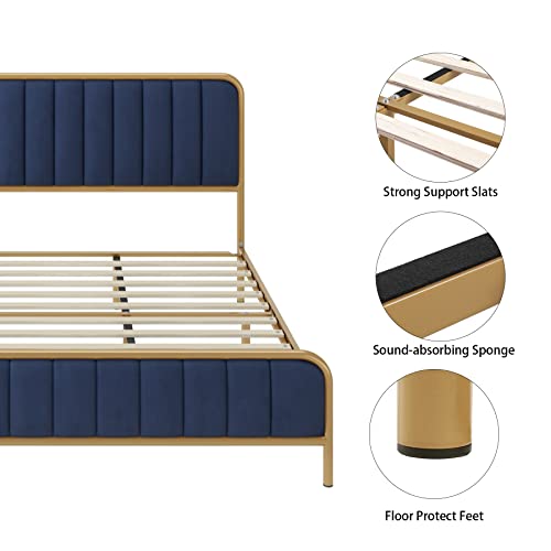 Hithos Queen Size Bed Frame, Upholstered Bed Frame With Button Tufted Headboard, Heavy Duty Metal Mattress Foundation With Wooden Slats, Easy Assembly, No Box Spring Needed (Golden/Blue, Queen) #TOP5
