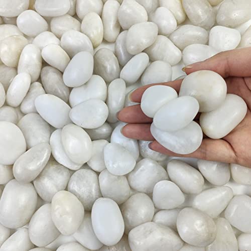 FANTIAN Small White Pebbles for Plants - 0.8-1.2 inch Decorative