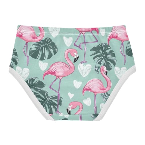 Wusikd Flamingo Girls' Underwear Cotton Leaves Pink Girls Briefs Soft Toddler Underwear 2T2