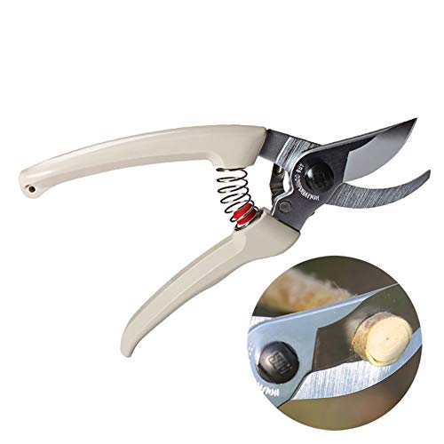 TONZN Small professional pruning shears, portable gardening shears, high carbon tool steel, fruit tree tools, home gardening flowers