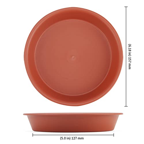 KEILEOHO 20 Pack 15 cm Red Plant & Pot Saucers, Red Flower Pot Drip Trays for Indoor & Outdoor Garden Plants (6 inch) - Image 2