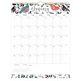 Cabbrix 2020 Monthly Wall Calendar, Wirebound, Vertical, 17 x 12 Inches, Runs from Now Through December 2020