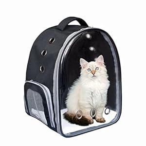 Xigwig Pet Carrier for Cat & Small Dog and Puppy Kitty Transparent and Breathable Airline-Approved Hiking and Outdoor for Puppies & Cats (Black, Transparent)