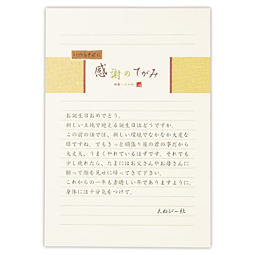 エヌビー社 伝えるきもち B5相当 便箋 横罫 | 横書き 2色アソート 30枚入