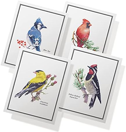 Twigs Paper - American Birds Note Cards - Set of 12 Blank Assorted Greeting Cards With Envelopes (5.5 x 4.25 Inch) - 100% Eco Friendly Stationery - Made In USA