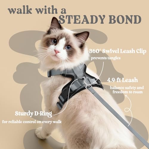 Image of rabbitgoo Cat Harness and Leash Set, Escape Proof Vest, Grey | Soft Breathable Mesh, Easy Adjustable Fit, Snap Buckles, Sturdy Clip, Reflective Strips, for Small & Average Cats Walks, Xs