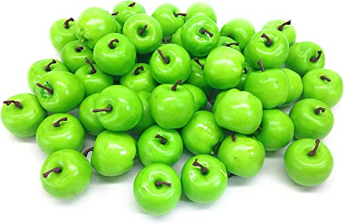 킢 P ~j  HiTv Hi͌^ 50Zbg (O[)