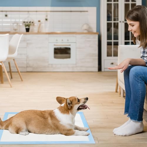 100 Stück PIPI Matten für Hunde, 33x45cm Welpen Unterlagen Trainingspads, Auslaufsicheres 5 Lagiges Design, Super Saugfähige Oberfläche, Welpenunterlagen Einweg für Kranke und Inkontinente Tiere