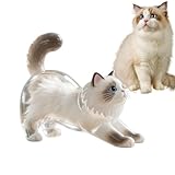 Katzenhaar-Schlüsselanhänger – Tierhaar-Aufbewahrung, dekorativer Schlüsselanhänger aus Acryl, klarer Anhänger für Rucksack, Geldbörse, Charm, Damenkollektion, Herrentasche