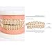 AISGRIL Grillz Teeth 18K Gold Plated Inlaid Zircon Hip Hop Punk Grills Rapper Costume 10-Tooth Top & Bottom for Halloween Christmas Unisex