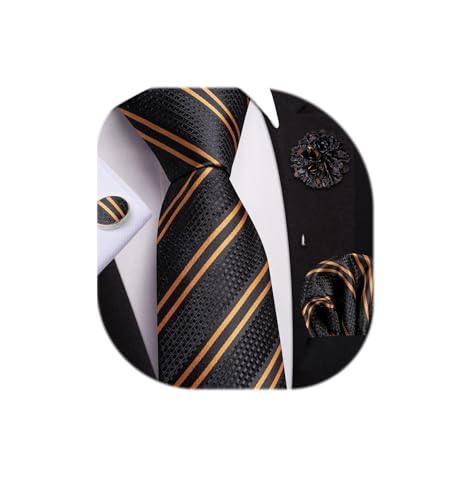 Image of Dubulle Mens Tie and Lapel Pin Paisley Striped Floral Necktie for Men Pocket Square Cufflinks 4PCS Set Wedding Party