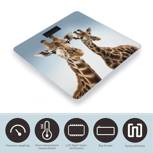 Báscula digital para baño con vidrio templado y pantalla LCD miniatura 3