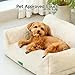 MEWOOFUN Katzen Sofa Katzenbett für Wohnungskatzen, Niedlich Kätzchen Bett Haustiersofa mit abnehmbarem, waschbarem Bezug und Rutschfester Unterseite für kleine Hunde (Weiß, M)