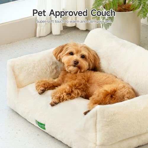 MEWOOFUN Katzen Sofa Katzenbett für Wohnungskatzen, Niedlich Kätzchen Bett Haustiersofa mit abnehmbarem, waschbarem Bezug und Rutschfester Unterseite für kleine Hunde (Weiß, M)