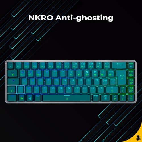 RF241 - Tastiera da gioco meccanica compatta senza fili ricaricabile FR(AZERTY), tripla modalità (2,4 GHz, Bluetooth, USB-C), 69 tasti MX Red, RGB, NKRO, compatibile con PC, Mac e - Tastiera gaming - Immagine 6