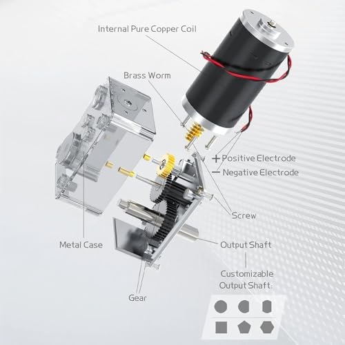Samfox Getriebemotor - DC 12V 200 Rpm Permanent Magnet Worm Turbo-Getriebemotor Getriebemotor