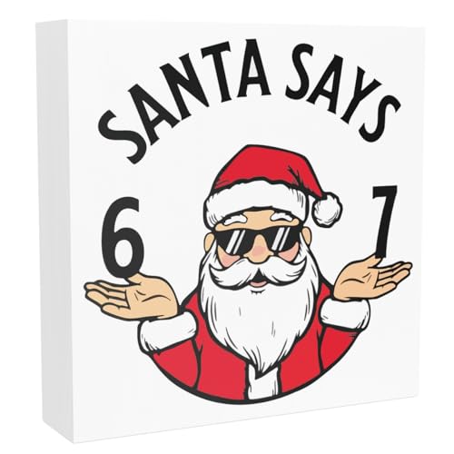 67 Christmas Decorations Funny 67 Christmas Ornament Decor Santa Says Six Seven Xmas Holiday Decor Gag Gifts for Girls Boys 5 x 5 inches