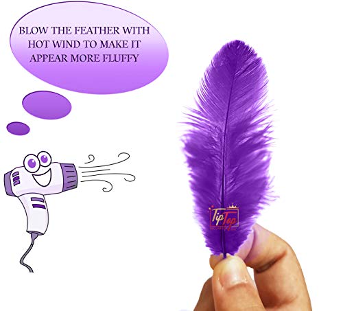 Image of TIPTOP DECORATION Natural Dyed Feathers 10 cm (80 pieces) (Violet)