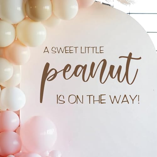 Vinilo Decorativo A Sweet Little Peanut para Fiesta Infantil miniatura 5