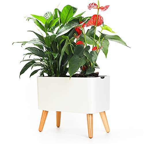 Sungmor Smart Alarm Jardinière à arrosage...