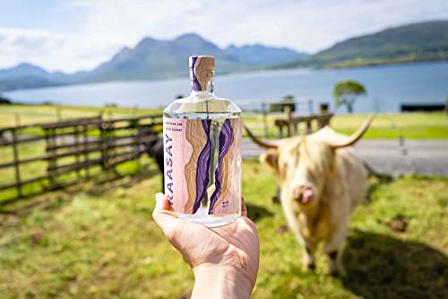 Raasay Gin | Hebridean Gin aus der Raasay Insel | 46% vol | 700 ml – Bild 5