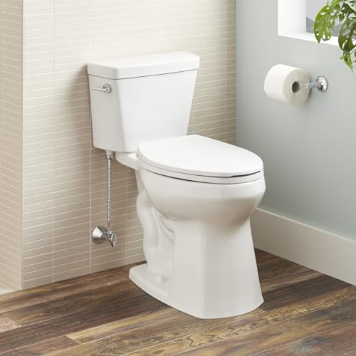 Signature Hardware 483545 Rilla 1.28 GPF Two Piece Elongated Toilet - Standard Seat Included - White