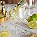 Viski Raye Angled Stemmed Gin and Tonic Glasses Set of 2 - Premium Crystal Clear Cocktail Gin Glasses for Gin Lovers Gift Set - 14oz