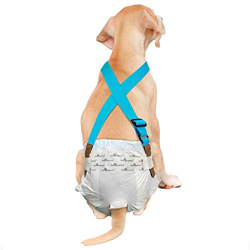 Image of PAW Inspired Dog Diaper Suspenders, Blue, Small /Medium | Small /Medium, Stretchy Adjustable Straps, Velcro Closures, For Female and Male Disposable and Washable Diapers