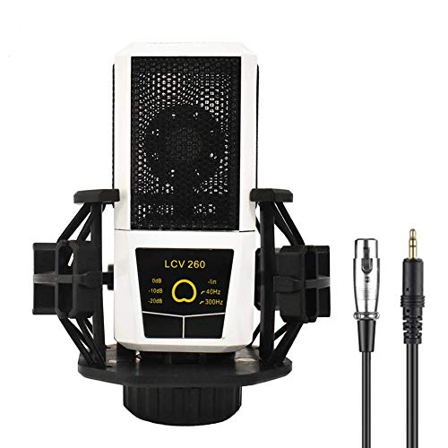 Condenser Microphone Bundle, LCV-260 Mic Set for Streaming, Podcasting, Vocal Recording, Compatible with Headphones iMac PC Laptop Desktop Windows Computer
