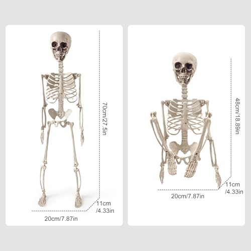 Squelettes pour Halloween de 60cm : cadeau anniversaire original et pliable