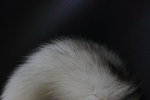 ZhichunLee Authentic Fox/Raccoon Tail Charms With Golden Keychain, Perfect for Cosplay and Fashion