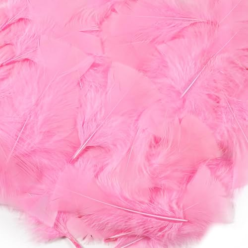 Soarer Light Pink Turkey Feathers - 300pcs 3-5inch Feathers for DIY Crafts Wedding Home Party Decorations Dream Catcher Supplies(Light Pink)