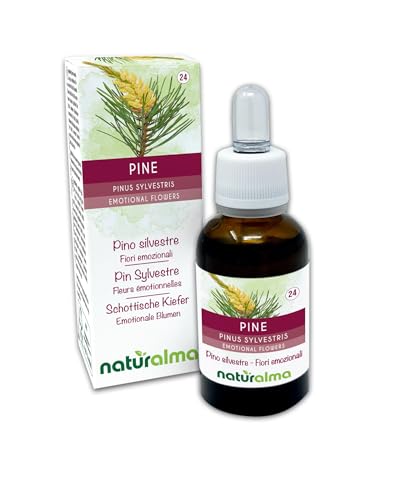 Pine o Pino silvestre (Pinus sylvestris) Remedios florales...