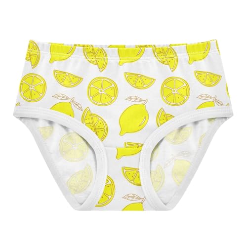 Fruit Lemon Toddler Girls's Underwear 2T 2301900
