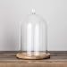 Glass Cloche Bell Jar Display Dome with Bamboo Base - 9" x 6"