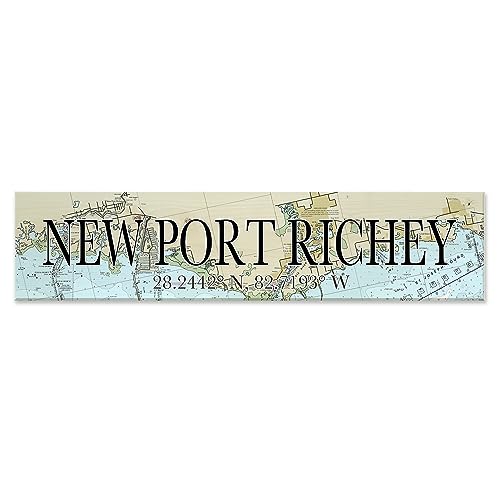 How far is new port richey from orlando
