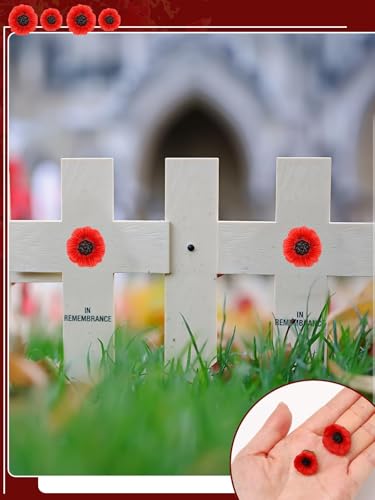 Image of JUNEBRUSHS 28 Pcs Memorial Day Poppy Flower Pins Resin Red Poppy Brooch Lapel Pin Lest We Forget Poppy Pins for Remembrance Veterans Day Wedding Home Garden Decoration (2 Size)