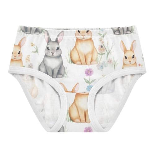 Cute Rabbits Grey Bunnies Floral Panties Little Girl Girls Underwear Toddler Cotton Stylish Underpants Briefs 2t