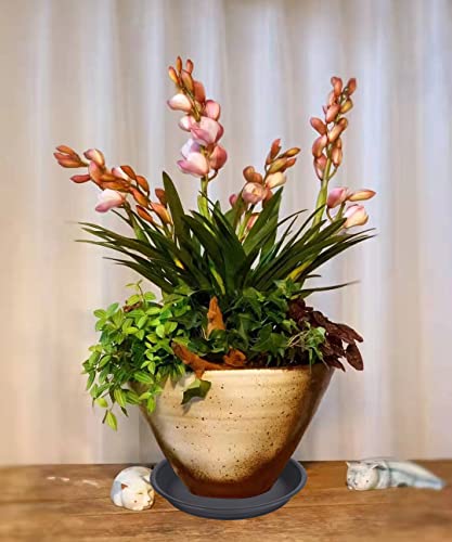 Saucerhome Plant Saucer Pot Tray 14 Inch (14.2 Inch), 4 Packs Plastic Flower Planter Saucers And Drip Trays For Indoors Outdoors, Thick Heavy Sturdy Durable Plant Plate Water Catcher (Black) #TOP6