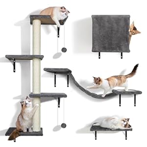 Kletterwand Katzen 10-teilig, Zvonema Katzen Wandelemente für Kleine bis Mittelgroße Katze bis 10KG, Stabiles Katzenkletterwand Set mit Katzenhaus/Katzenbrücke/Kat... Grau