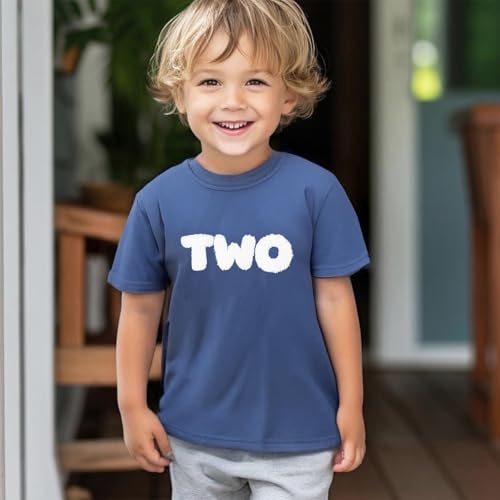 1st Birthday Boy Shirt Toddler Baby Short Sleeve Embroidered Letter One Year T-Shirts Tops Outfit Clothes2